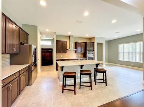 1315 Dusty Pine Drive, Apopka FL - photo 9 of 40