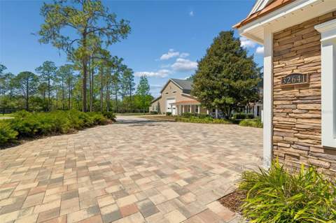 32641 Blueberry Hill Way, Dade City FL - photo 8 of 95