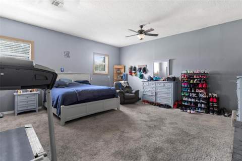 14407 Lake Junietta Drive, Tavares FL - photo 17 of 38