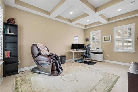 17815 Daisy Farm Drive, Lutz FL - photo 22 of 52