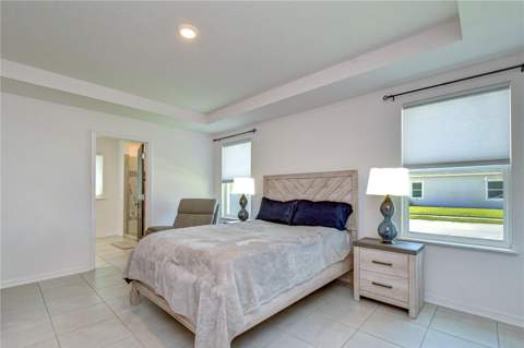 8325 Olive Brook Drive, Wesley Chapel FL - photo 16 of 39