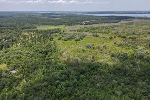 15820 Wilson Parrish Road, Umatilla FL - photo 6 of 6