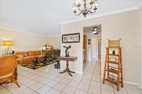 12510 Noreast Lake Drive, Tampa FL - photo 7 of 43