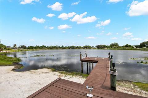 22523 Willow Lakes Drive, Lutz FL - photo 18 of 53