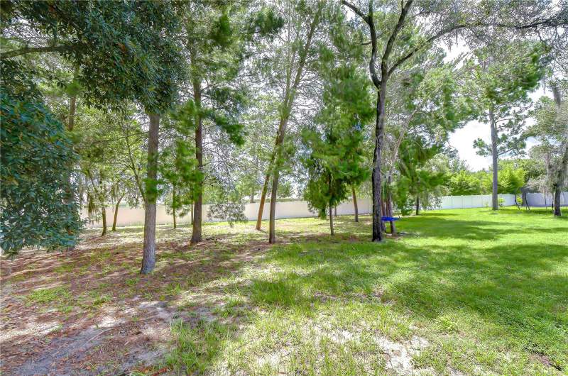 4 bedroom Single Family Residence at 3358 Ponytail Court, Plantation Palms, Spring Hill — photo 3