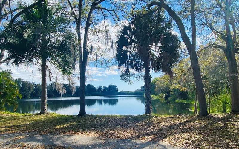 2400 PINE HAMMOCK home for sale in Pinellas Groves