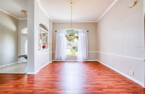 9685 Southern Belle Drive, Weeki Wachee FL - photo 12 of 43