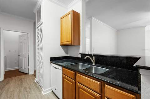 18525 Bridle Club Drive #18525, Tampa FL - photo 12 of 38