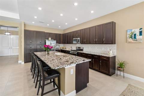 32732 Tree Of Life Avenue, Wesley Chapel FL - photo 12 of 64