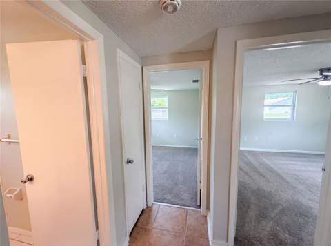 3518 Gorman Drive, New Port Richey FL - photo 6 of 22