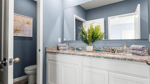 9777 Brave Buck Avenue, Land O Lakes FL - photo 18 of 25
