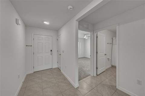 3062 Living Coral Street, Wimauma FL - photo 6 of 51