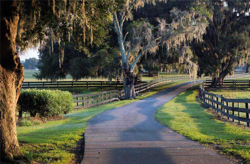13 bedroom Single Family Residence at 12870 W Highway 40, Ocala, Ocala — photo 4