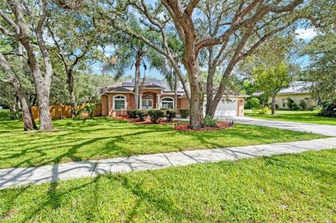 13925 Echo Mountain Drive, Hudson FL - photo 18 of 59