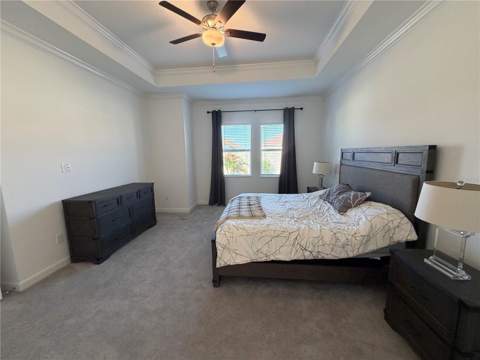 17165 Scuba Crest Street, Wimauma FL - photo 22 of 54