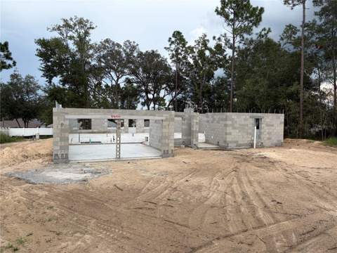 8447 SE 161st Street, Summerfield FL - photo 6 of 6