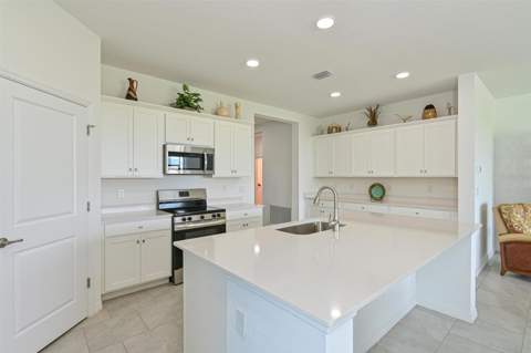 3519 Night Star Terrace, Parrish FL - photo 8 of 26