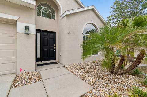 12155 Infinity Drive, New Port Richey FL - photo 6 of 75