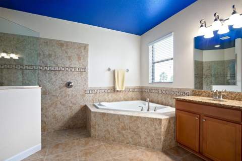 1392 Dolphin Head Street, Davenport FL - photo 16 of 35