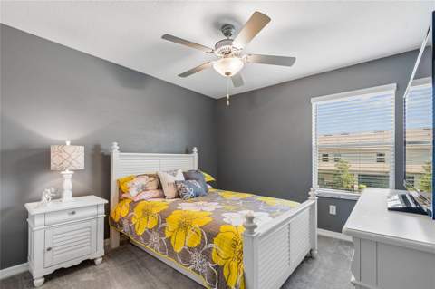 21851 Lyonia Lane, Land O Lakes FL - photo 24 of 50