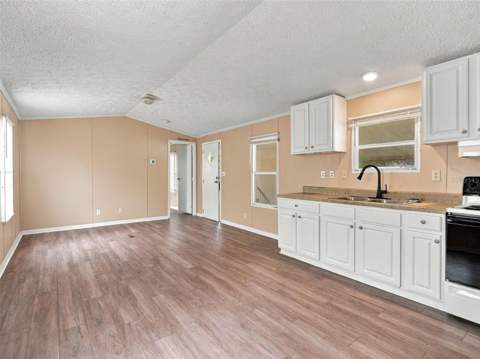3141 Birkdale Drive, Holiday FL - photo 6 of 30