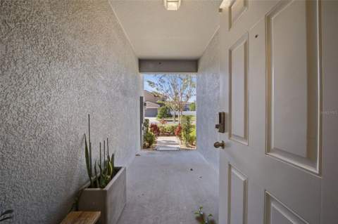 4459 Globe Thistle Drive, Tampa FL - photo 12 of 56