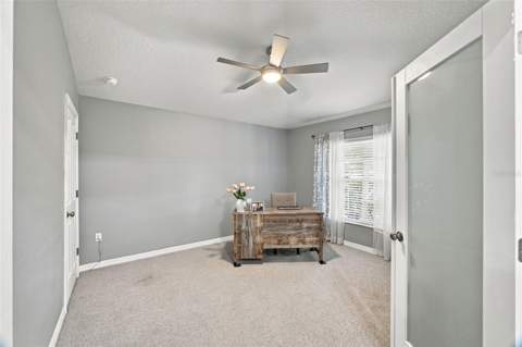 6501 Bridgecrest Drive, Lithia FL - photo 17 of 55
