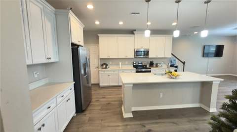 2501 Stapleford Place, Wesley Chapel FL - photo 6 of 31