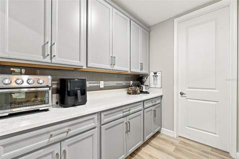 16909 Clear Cork Drive, Wimauma FL - photo 19 of 77