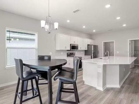 143 Dancing Dahlia Street, Ruskin FL - photo 7 of 11