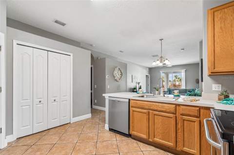 27211 Liriope Court, Wesley Chapel FL - photo 6 of 49