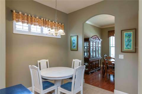 3746 Dogtrot Street, New Port Richey FL - photo 13 of 50