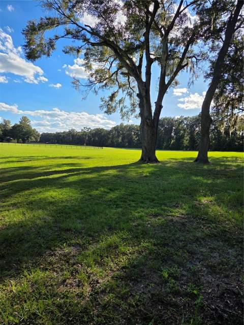 950 W Highway 316, Citra FL - photo 18 of 24