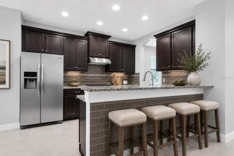 8454 May Port Court, Land O Lakes FL - photo 11 of 39