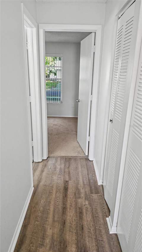 7419 Ivory Terrace, New Port Richey FL - photo 24 of 43