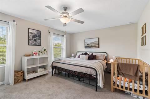 3633 Bellmeade Court, Wesley Chapel FL - photo 24 of 73