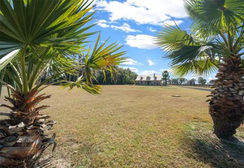 2198 W Highway 329, Citra FL - photo 6 of 6