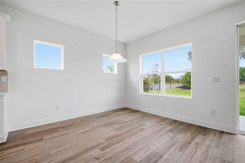 11830 Richmond Trail, Parrish FL - photo 14 of 45