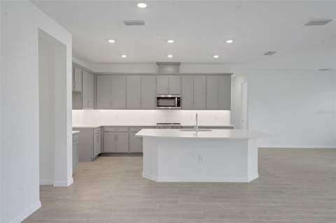 17453 Valleywood Parkway, Land O Lakes FL - photo 20 of 55