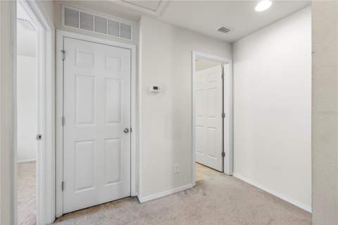 9335 American Hickory Lane, Riverview FL - photo 20 of 44