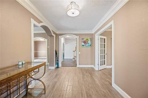 1109 Belcher Road, Palm Harbor FL - photo 15 of 59