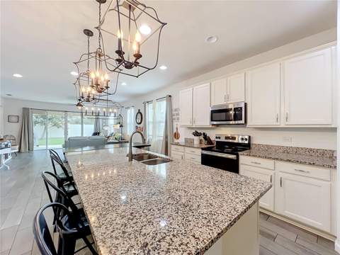 1244 Stratton Avenue, Groveland FL - photo 7 of 58