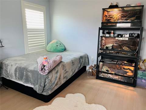 14037 Pecan Orchard Drive, Winter Garden FL - photo 23 of 33