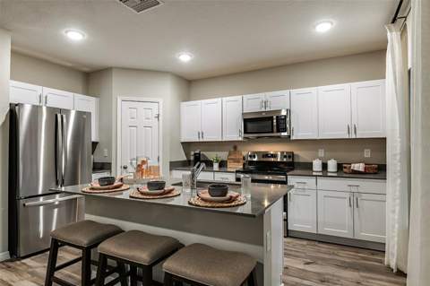 31685 Oyster Trellis Lane, Wesley Chapel FL - photo 10 of 27
