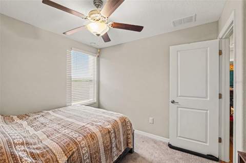 3166 Oyster Cove Street, Wimauma FL - photo 23 of 30