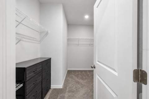 3703 Globe Thistle Drive, Tampa FL - photo 14 of 37