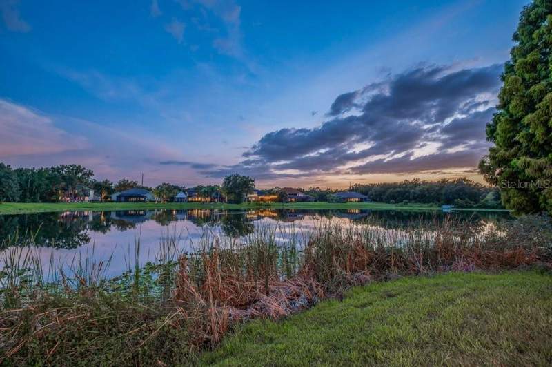 4 bedroom Single Family Residence at 6217 Kingbird Manor Drive, Fish Hawk Trails Unit 6, Lithia — photo 5