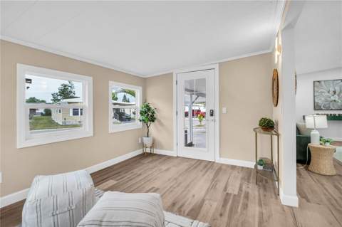 193 Blue Marlin Drive, Oldsmar FL - photo 7 of 41