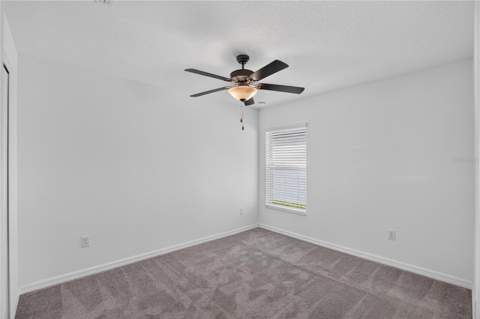 5487 Blue Azure Drive, Wimauma FL - photo 24 of 60