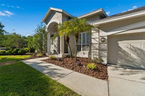19108 Centre Rose Boulevard, Lutz FL - photo 6 of 91